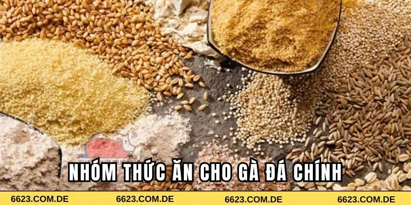 Nhóm thức ăn cho gà đá chính