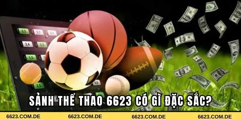 Sảnh thể thao 6623 có gì đặc sắc?